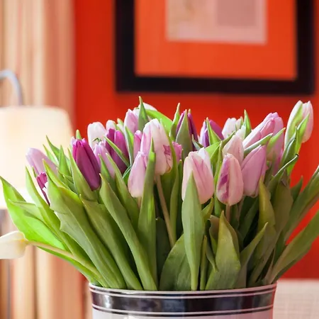 Rural La Venteta Hotell